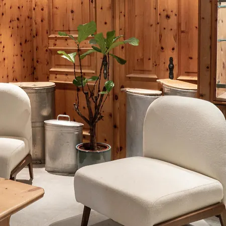 Meierhof 호텔 다보스